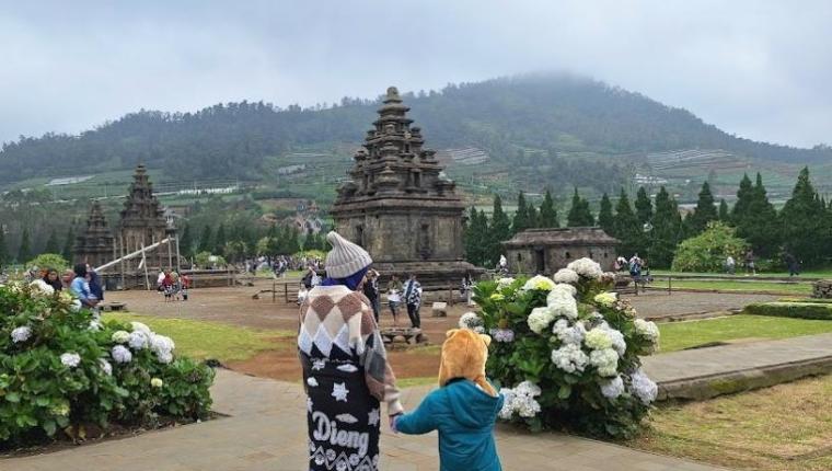 Candi Arjuna: Wisata Sejarah di Ketinggian Dieng yang Memukau